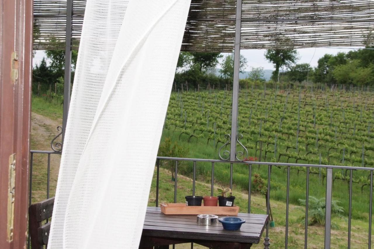Il Pino Bioagricoltura Villa แตร์รานูโอวา บราชโชลีนี ภายนอก รูปภาพ