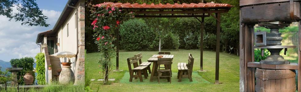 Il Pino Bioagricoltura Villa แตร์รานูโอวา บราชโชลีนี ภายนอก รูปภาพ